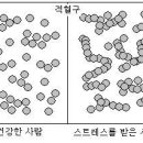 적혈구의 연전현상 이미지