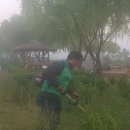 서동공원 이미지