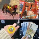 쉽고 재밌게 바이올린 교실 | [경기 과천] 서울근교 벚꽃명소 데이트 코스 과천 경마공원 “렛츠런파크 서울”