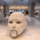 정남푸드 이미지