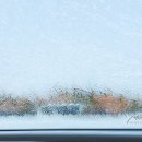 멕시카나치킨식당 이미지