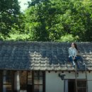 리틀포레스트 이미지