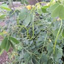 황정농장 이미지