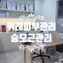 에뚜알 | 송파 위례피부관리 승모근관리, 에뚜알에스테틱 테라노바 예신 후기
