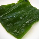 아지매아구찜 이미지