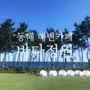 강원도 동해 해변 품은 속초 바다뷰 카페 바다정원