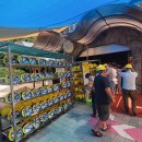 천곡황금박쥐동굴 이미지