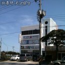 청수경로당 | [후기]제주도 31살 擄총각 홀로 여행 ~~1일차[저지마을, 올레14-1코스, 봄꽃게스하우스, 모슬포항]