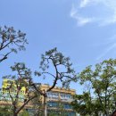 서울리더스내과의원 | 망포역 리더스내과 건강검진 재방문후기 (ft.내시경 할인이벤트)