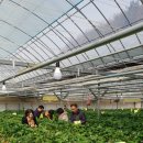 권오선농장 이미지