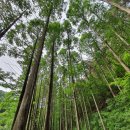 행복의꿈 이미지