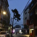 딸기네샵 이미지