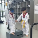 피어나라 태권도 이미지