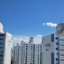 상업용 3 | [경주·포항·영천 방충망] 낡은 알루미늄망 탈거 후 부식 없는 고강도 모노필라멘트 30메시 설치 후기