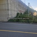 주식회사 늘푸른