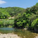 제천 탁사정, 박달재와 옥순봉 출렁다리 이미지