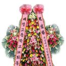 서초-서초-서초-006164 이미지