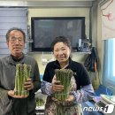 정귀숙