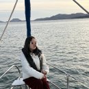 청정오리떼 | 광주근처 여수요트 추천 페가소스에서 인생샷 백만장 찍기