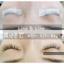 아트앤라인