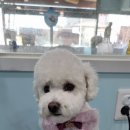 가온메디 이미지