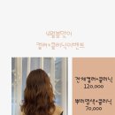 퍼플리살롱
