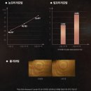 라이프앤진뷰티마스터