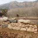 돌담하우스(민박) 이미지