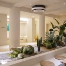 딥밀(DIPMILL) 이미지