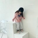 리틀독