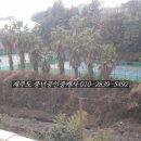 동홍동-20 이미지