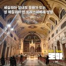 이탈리아 로마 산타 체칠리아 인 트라스테베레 성당 방문기