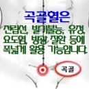 기공수련 - 특별수련 (곡골혈 열기) 이미지