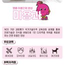 배정미래고등학교 이미지