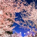 207-운정3-207 이미지