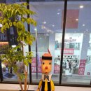 유가약국 이미지