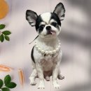 올리스(위례) 이미지