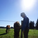 보영목장 이미지