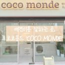 코코몽드 이미지