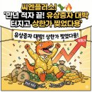 씨엔문 이미지