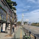 (주)세림 | 개나리와 황매화가 이뻤던 응봉산 ~ 팔각정 ~ 응봉동 ~ 마장동 세림아파트 ~ 꽃담 벽화마을 ~ 축산물시장