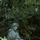 시안 - 서귀포시 | 시안