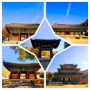 10월3일/ 블.야100명산.. 꽃무릇 핀 천년고찰.. 김제 모악산 매봉 금산사 둘레길.. 이미지