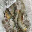 민어청년 자연산 암대하 내돈내산 후기(●&#39;◡&#39;●)