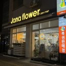 자나플라워앤캔들
