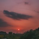 석준목장 네이버블로그