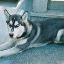 신월동016 이미지