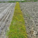 복산보건진료소 이미지