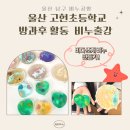 고헌초교 네이버블로그