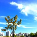 뚝배기이탈리아 이미지